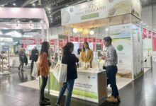 Thai rice exporter says policy changes are grain-ing momentum | Thaiger