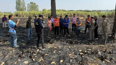 Woman charged for illegal sugarcane burning in Nong Bua Lamphu