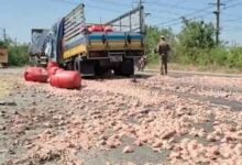 Fatal collision scatters chicken parts on Thai road