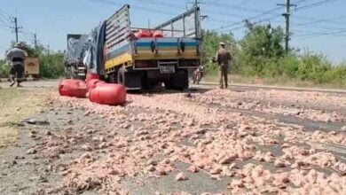 Fatal collision scatters chicken parts on Thai road | Thaiger