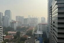 PM2.5 pollution targetted with urgent health measures