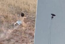 Child dragged by kite in Thailand’s windy paddy field (video)