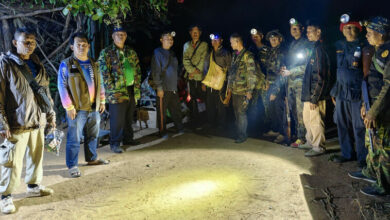 Farmers guard crops from wild elephants near Thap Lan Park