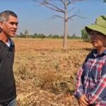 Couple scammed in 80,000 baht eucalyptus plantation deal | Thaiger