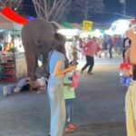 Elephant panic at Nakhon Phanom fair injures five people (video) | Thaiger