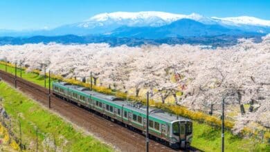 12Go introduces Japan Rail Passes to enhance travel accessibility for international travellers