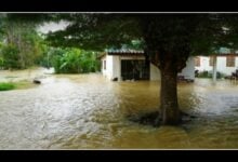 Severe floods hit Phatthalung: Homes submerged, school closed