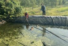 Tragic Chanthaburi drowning: Man dies rescuing dog from pond