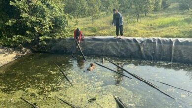 Tragic Chanthaburi drowning: Man dies rescuing dog from pond