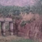 10 year old girl assaulted outside Chon Buri school | Thaiger