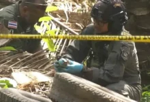 Explosives found near election unit in Chumphon oil palm plantation