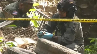 Explosives found near election unit in Chumphon oil palm plantation