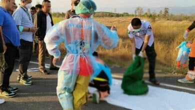 Stray dog leads Tak police to decomposed body of identified girl