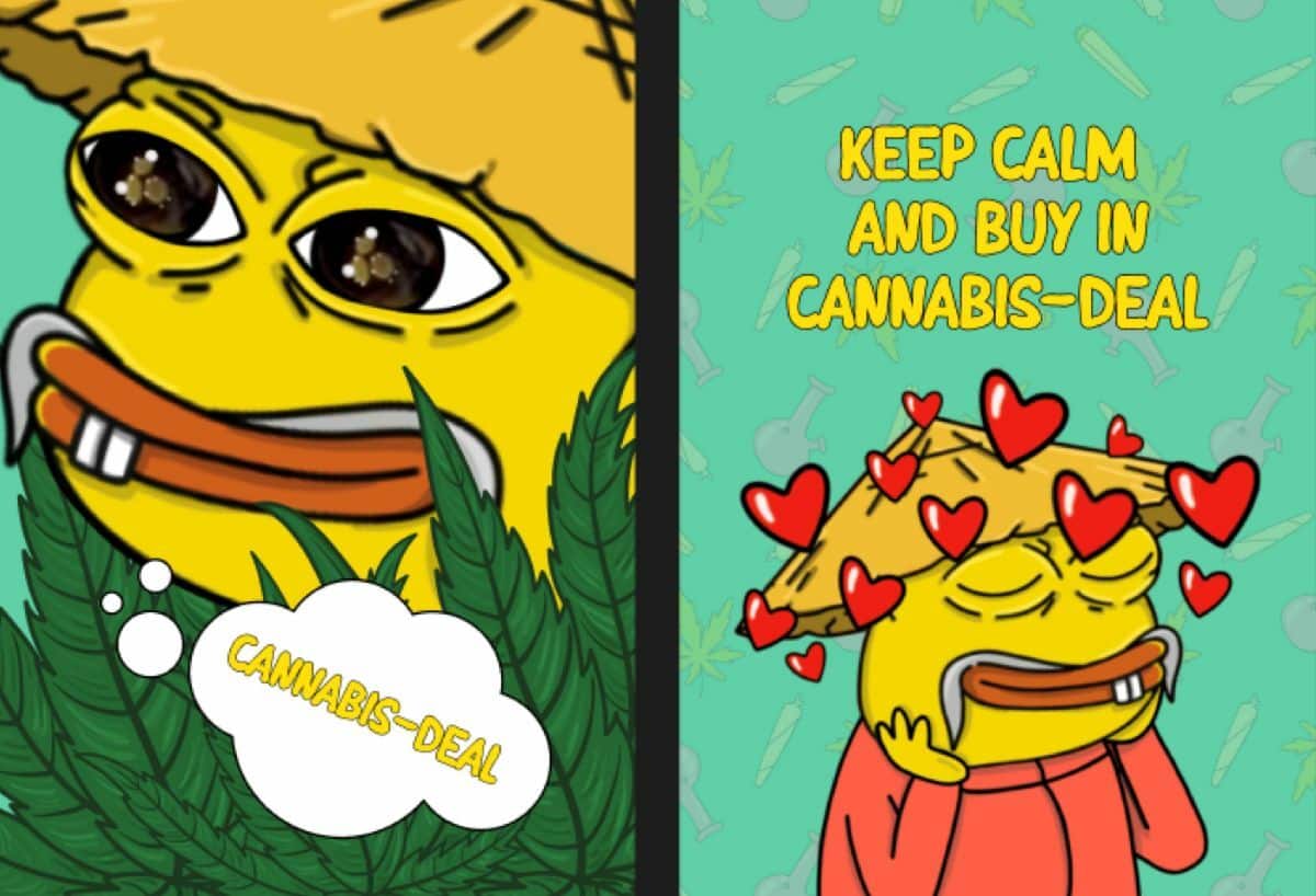 Premium cannabis in Thailand now available at groundbreaking prices | News by Thaiger