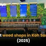 Best weed shops in Koh Samui [2025] | Thaiger