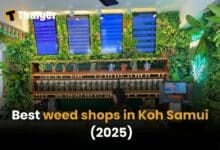 Best weed shops in Koh Samui [2025] | Thaiger