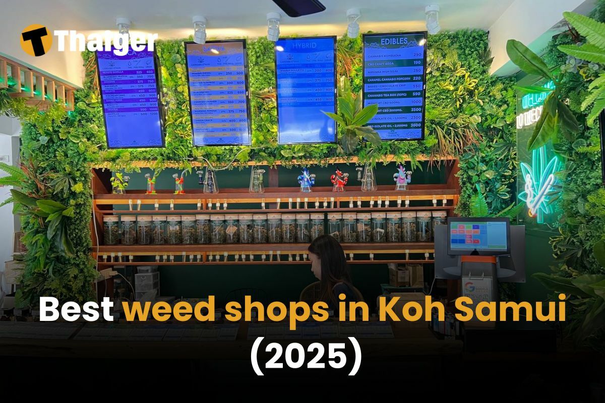 Best weed shops in Koh Samui [2025] | Thaiger