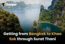 Getting from Bangkok to Khao Sok through Surat Thani