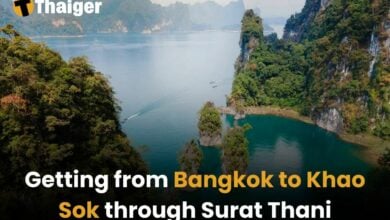 Getting from Bangkok to Khao Sok through Surat Thani