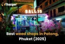 Best weed shops in Patong [2025] | Thaiger