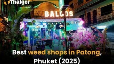 Best weed shops in Patong [2025] | Thaiger