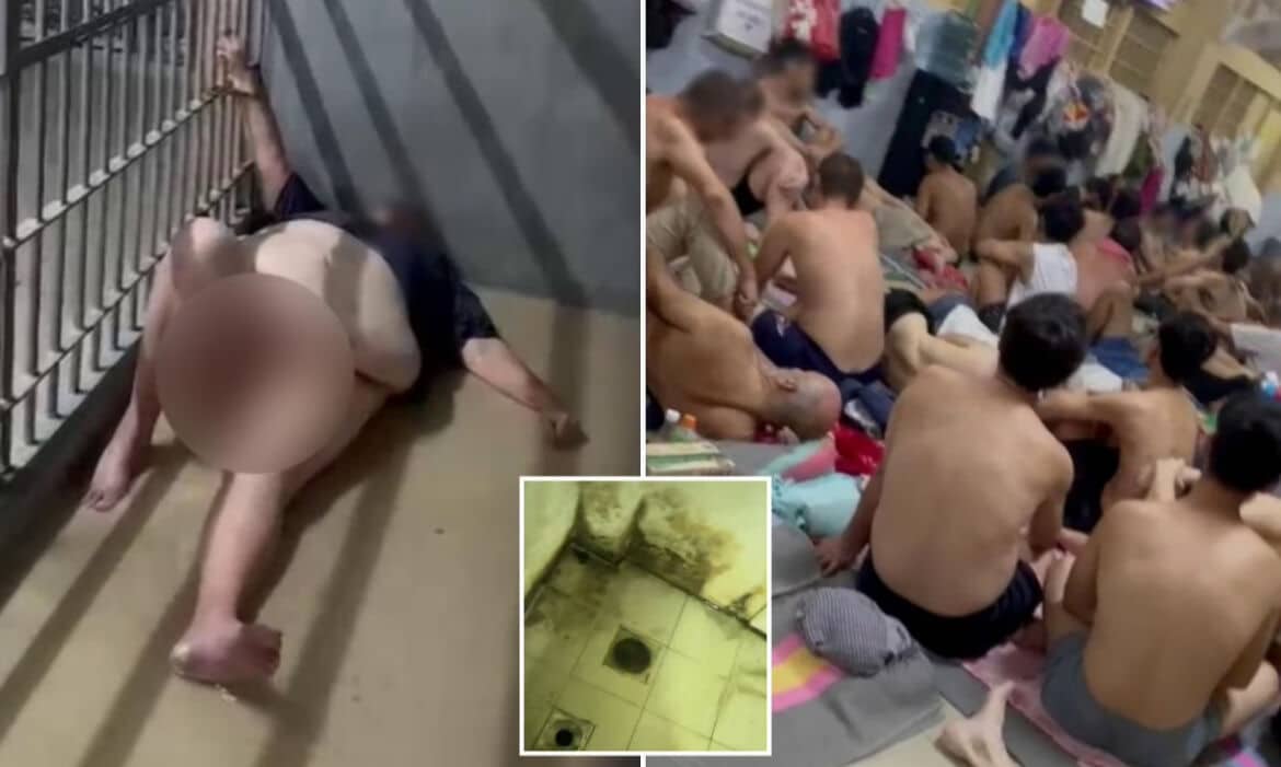 British man’s Thailand trip goes from heaven to prison hell (video)