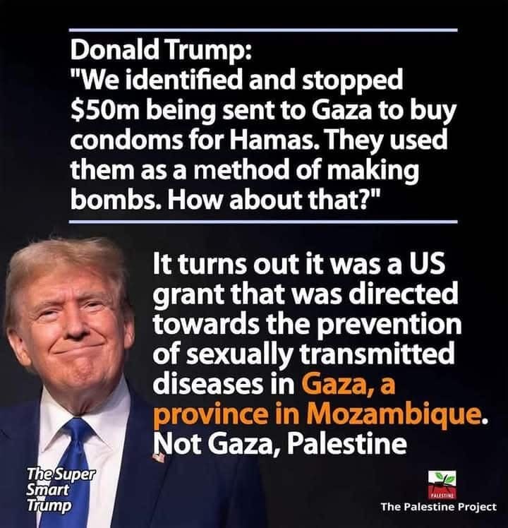 Trump's mad, mad, mad, mad world—now with extra madness | News by Thaiger