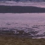 Monk&#8217;s stroll with women on Jomtien Beach raises concerns | Thaiger