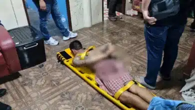 Son in Samut Prakan fatally stabs mother, attacks locals