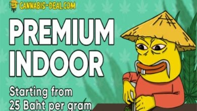 Premium cannabis in Thailand now available at groundbreaking prices