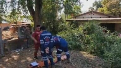 Thai man dies falling from tamarind tree in Udon Thani