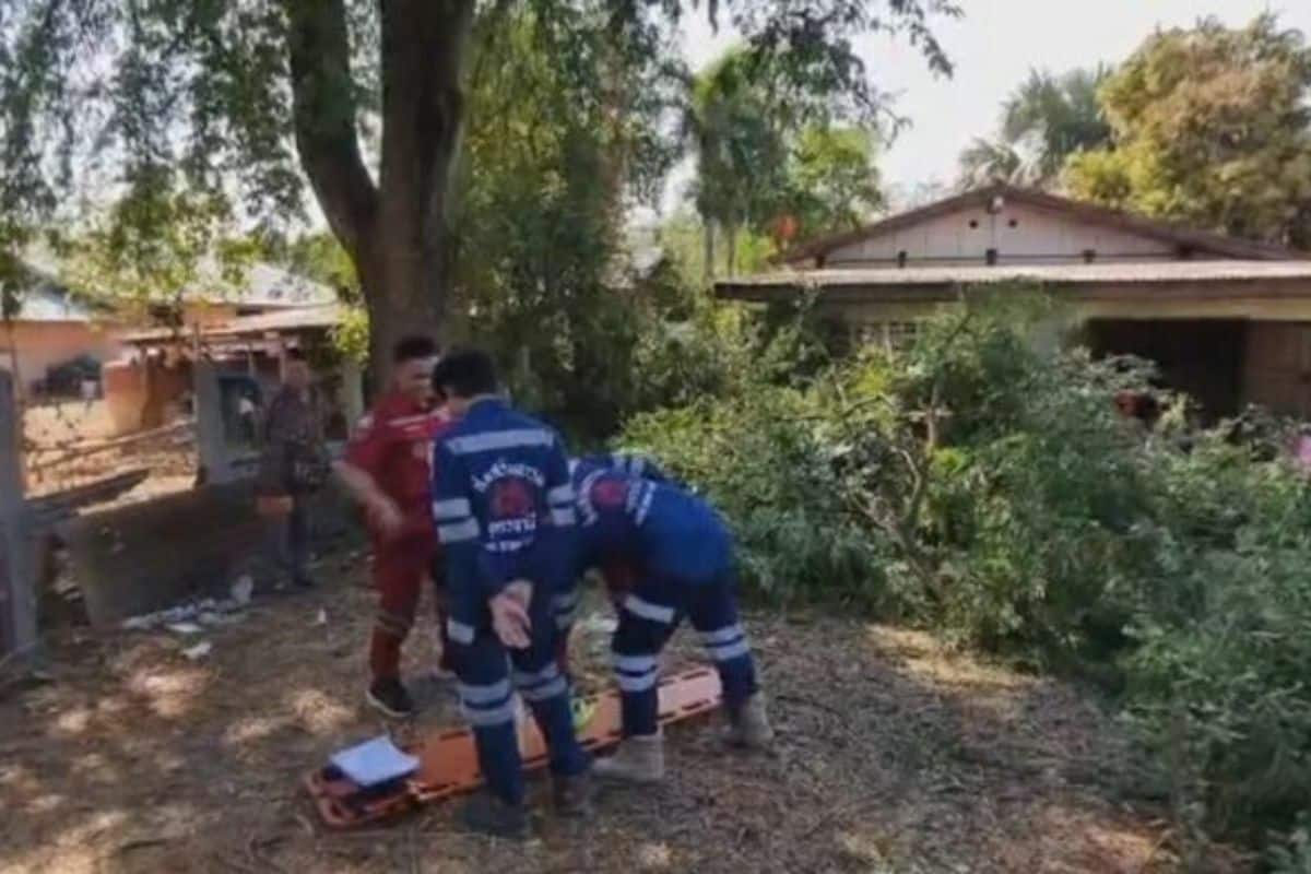 Thai man dies falling from tamarind tree in Udon Thani