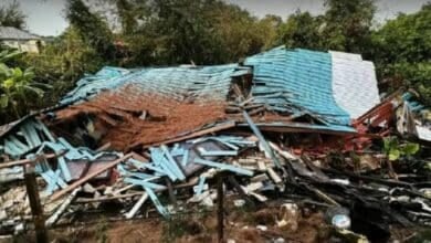 Grandmother and grandkids escape as Ayutthaya house collapses