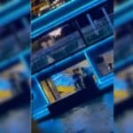 Cruise ship caught dumping trash into Chao Phraya River (video) | Thaiger