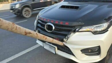 Elongated log damages car radiator on Thai bypass road