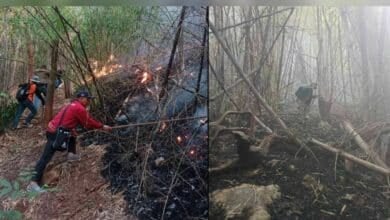 Loei forest fire extinguished after 30-hour battle