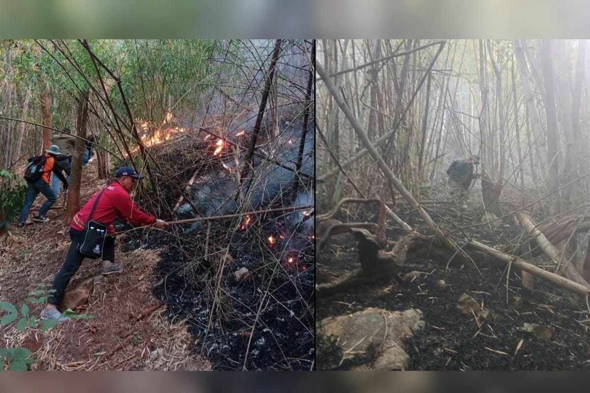 Loei forest fire extinguished after 30-hour battle