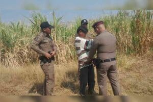 Man arrested for setting fire to sugarcane field in Buriram