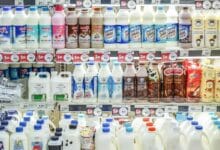 Thailand leads ASEAN dairy market with 19 billion baht in revenue