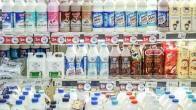 Thailand leads ASEAN dairy market with 19 billion baht in revenue