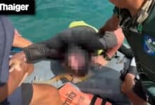 Thailand video news | Thailand Park Ranger Calls Out Italian Tourists for Damaging Coral Reefs, Two Men Publicly Caned for Homosexuality in Indonesia’s Aceh Province