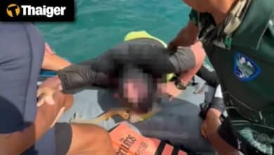 Thailand video news | Thailand Park Ranger Calls Out Italian Tourists for Damaging Coral Reefs, Two Men Publicly Caned for Homosexuality in Indonesia’s Aceh Province