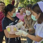 Newborn found abandoned in Buriram banana grove | Thaiger