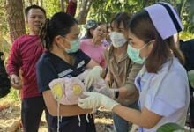 Newborn found abandoned in Buriram banana grove