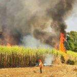 Experts have their say on govt&#8217;s PM2.5 pollution efforts | Thaiger