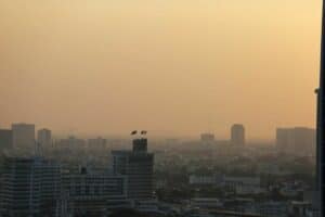 Bangkok campaign targets rice field burning to combat air pollution