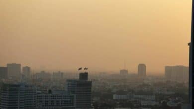 Bangkok campaign targets rice field burning to combat air pollution