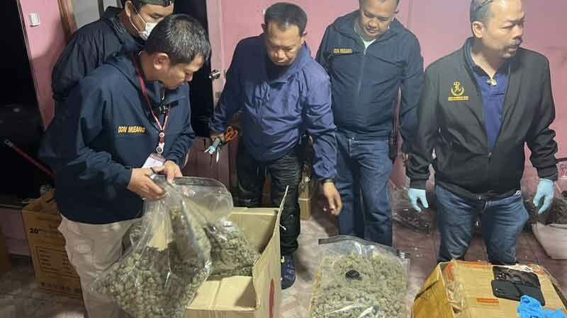 Green gone wrong: Police raid illegal cannabis factory in Bangkok