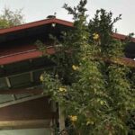 Child abduction scare in Nakhon Phanom prompts school warnings | Thaiger