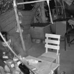 Ex-boxer knocked out by law after drug-fuelled crime spree